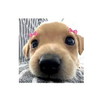 Guest_SaRaiiHernandez