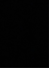 Guest_ss874354