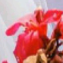 Guest_Bandida97150