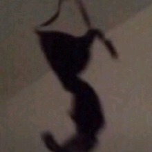 Guest_Hope122