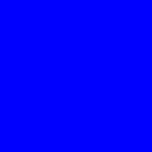 Guest_shaggybulgarianr345e