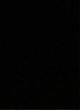 Guest_camda3