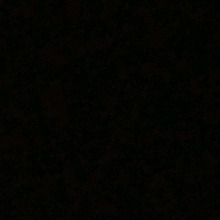 Guest_Dvhzin1