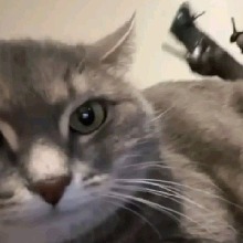 Guest_LUVGH0ST