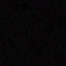 Guest_Souh04