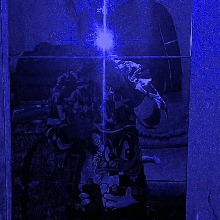 Guest_LucasF01