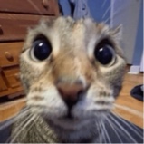 Guest_erodcdsolaris