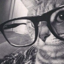 Guest_Elizabeth326430