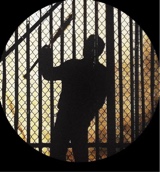 Guest_negenx99