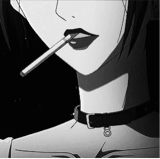 Guest_Stacy749989