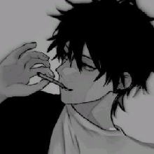 Guest_Noah298344
