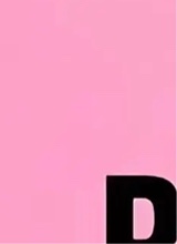 Guest_ariana93028