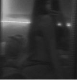 Guest_Sofia815325