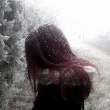 Guest_allyson16