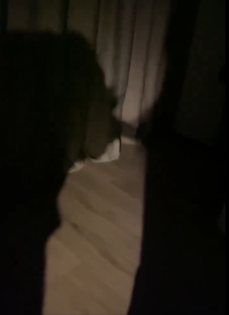 Guest_bosscacto