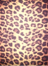 Guest_Lienna5