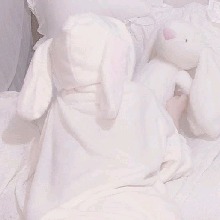 Guest_NicoRsrs