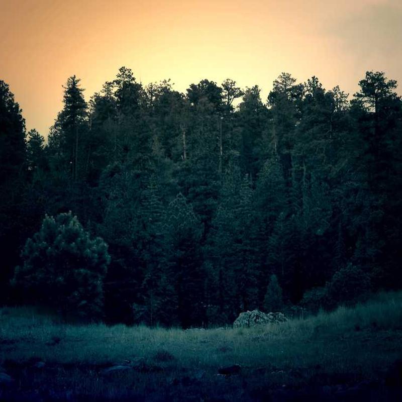 Guest_bcxcvbyz414