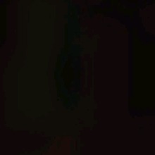 Guest_Rosalynn988
