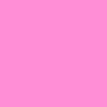 Guest_ayleen2828