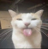 Guest_vrtualgf