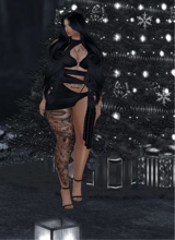 Guest_aplogy454970
