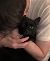 Guest_mooping1