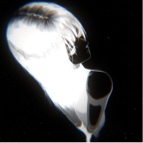 Guest_stellar875063