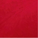 Guest_Babydraco19