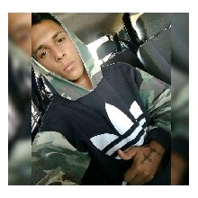 Guest_Gabriel848773