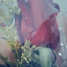 Guest_TalitaNebb1