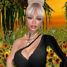 Guest_Sofi347860