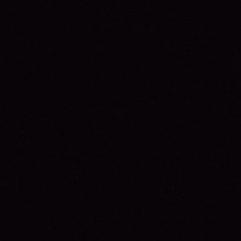 Guest_Sarinha545439