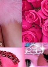 Guest_Alani371155