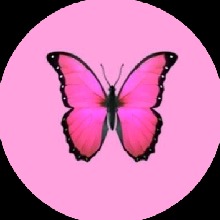 Guest_123cc4