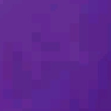 Guest_Bellalima444