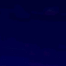 Guest_Maria238016