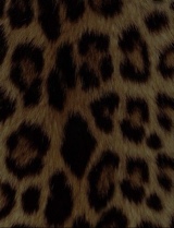 Guest_SlimShady36