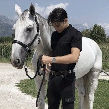 Guest_danteforuall