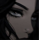 Guest_alex146091