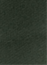 Guest_Mya670925