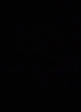 immagine avatar