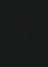 Guest_maddie290077