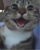 Guest_wh0sZoee