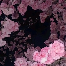 Guest_Lovelyurs911