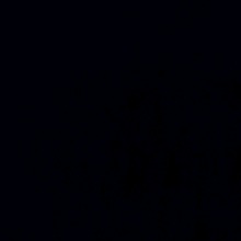Guest_Louan7