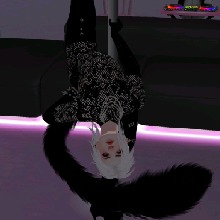 Guest_isntdexxx