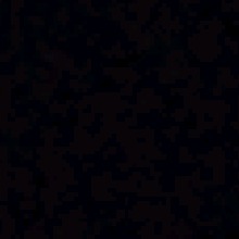 Guest_Lusca69