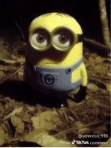 fadedrosie