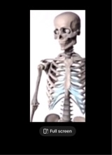 Guest_imanoobonroblox